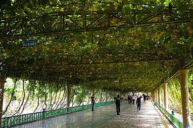 差点超越《马车：世界》！Fami通新一周销量榜公布